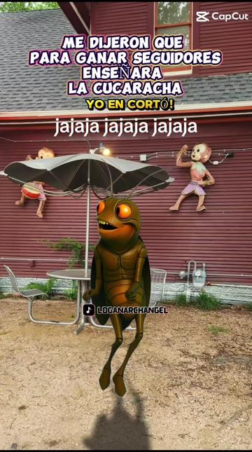 @🍀🏞Rosaura Aparicio 🦁🦁