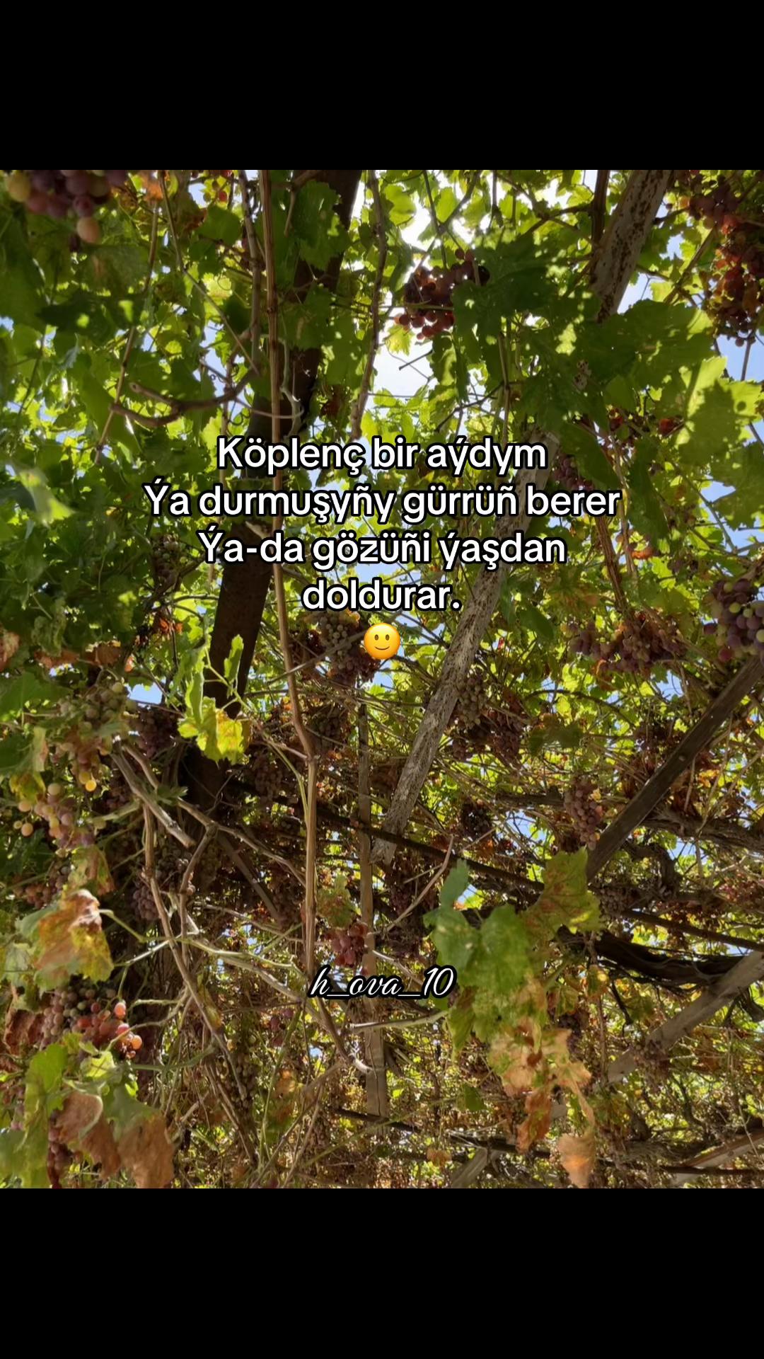 @𝒽_𝑜𝓋𝒶