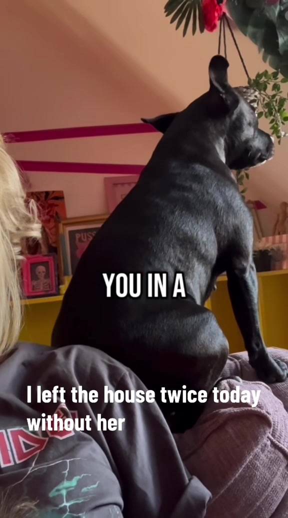 @blu__cyanide
