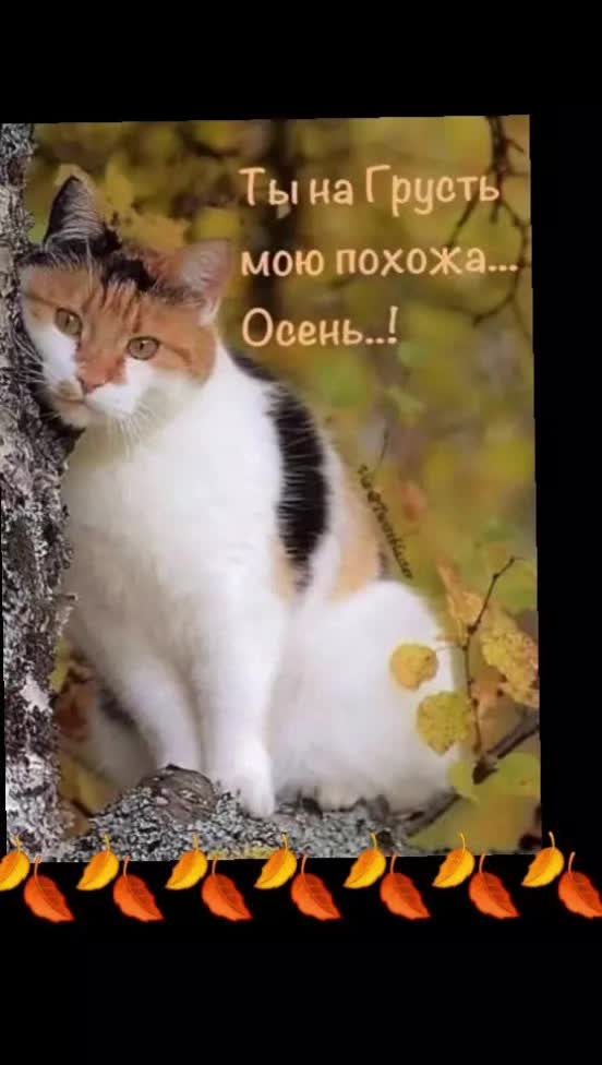 @Евгения