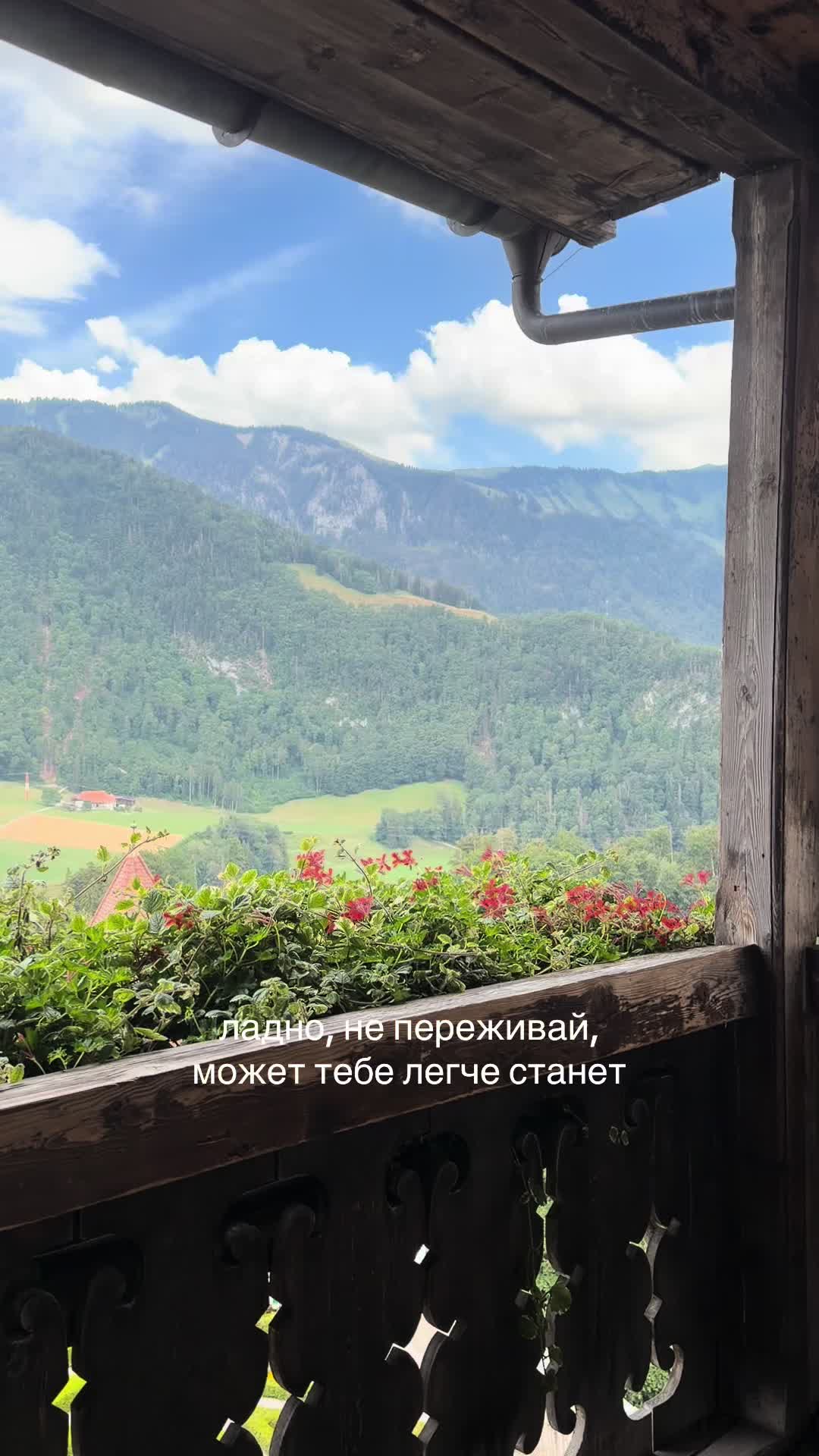 @marmollis