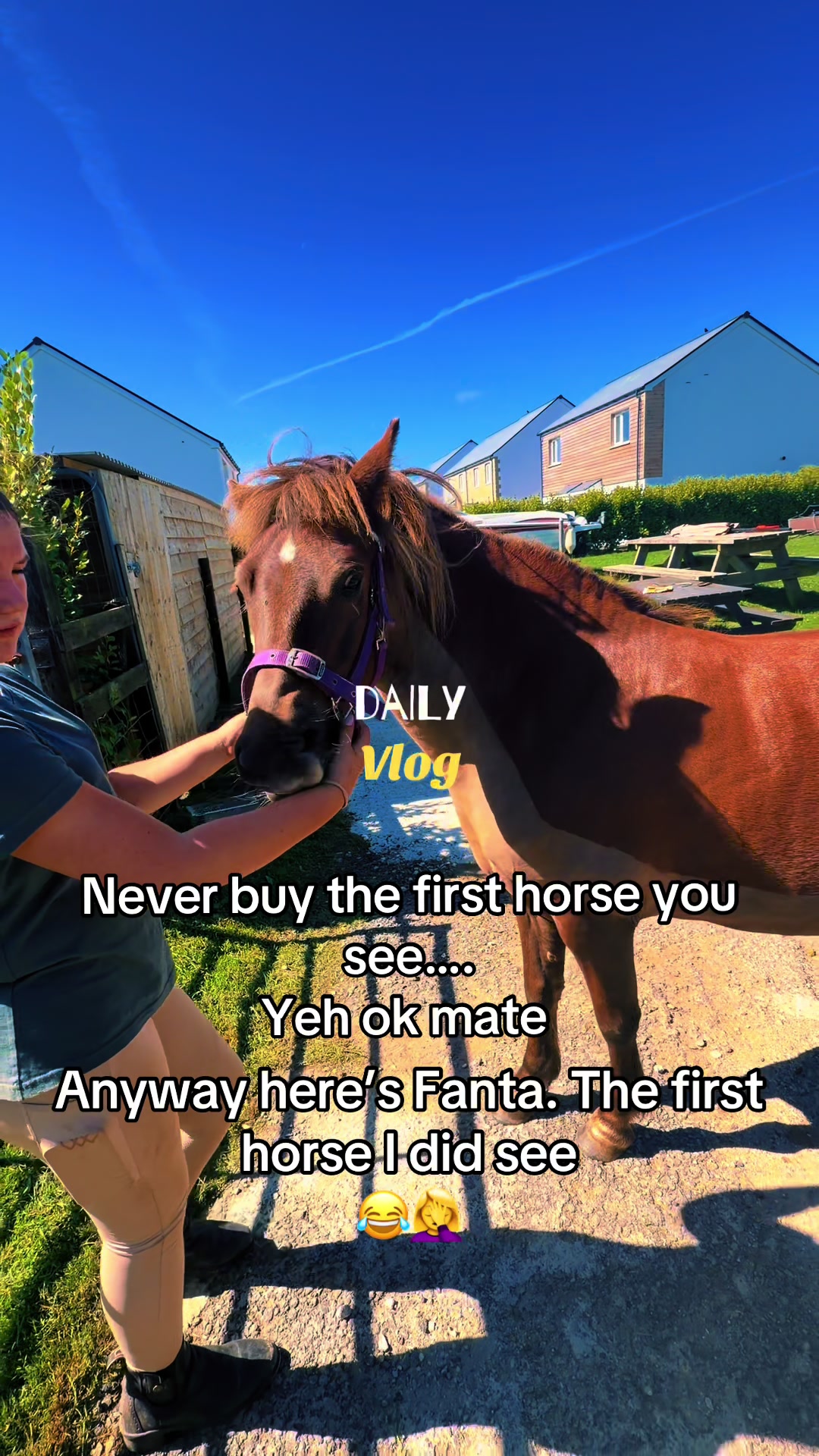 @horsetiktoc
