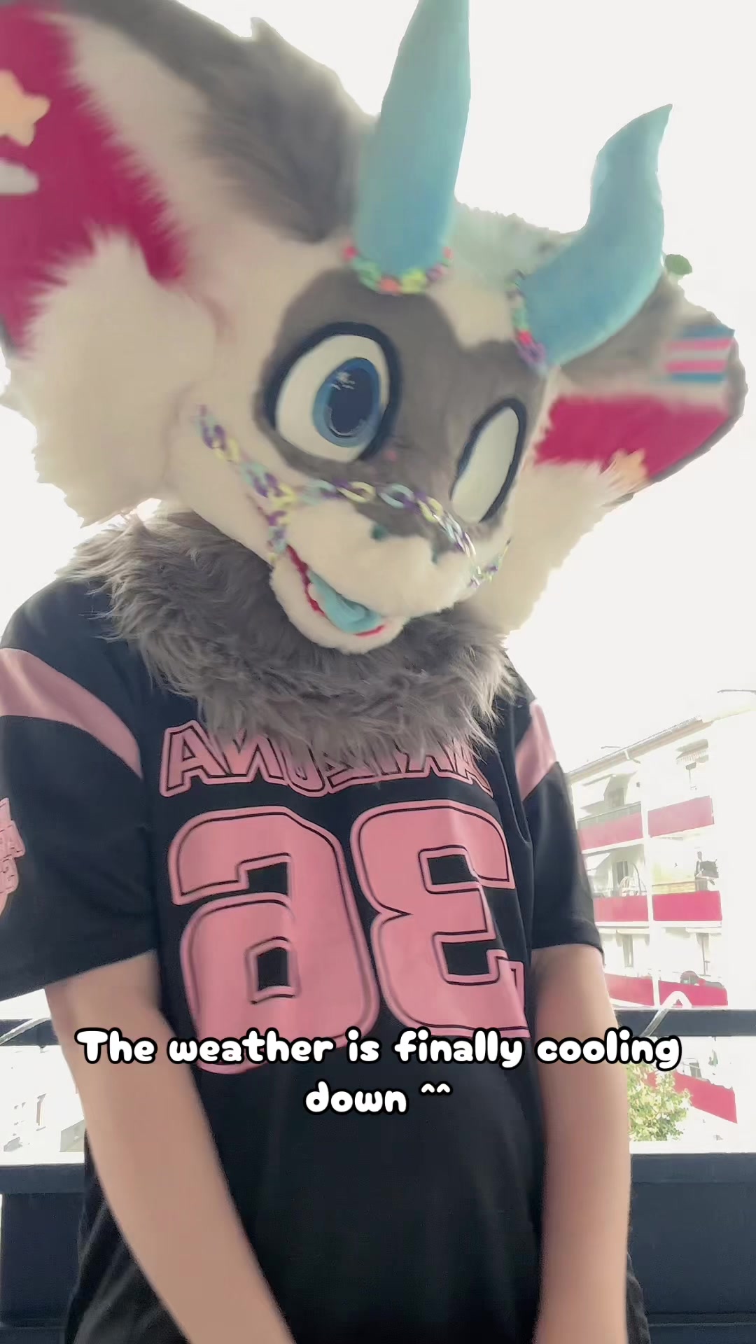 @fuzzybee