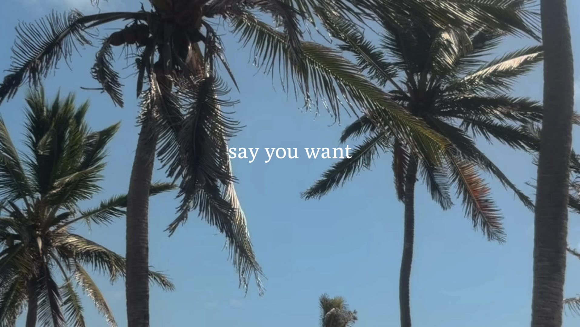 @Fernanda 🩷