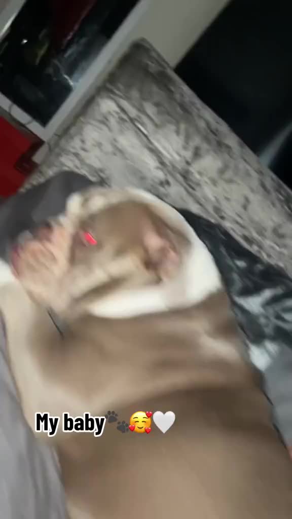 @๐๐๐๐ชฌ๐ค๐งฟโ๐ผ