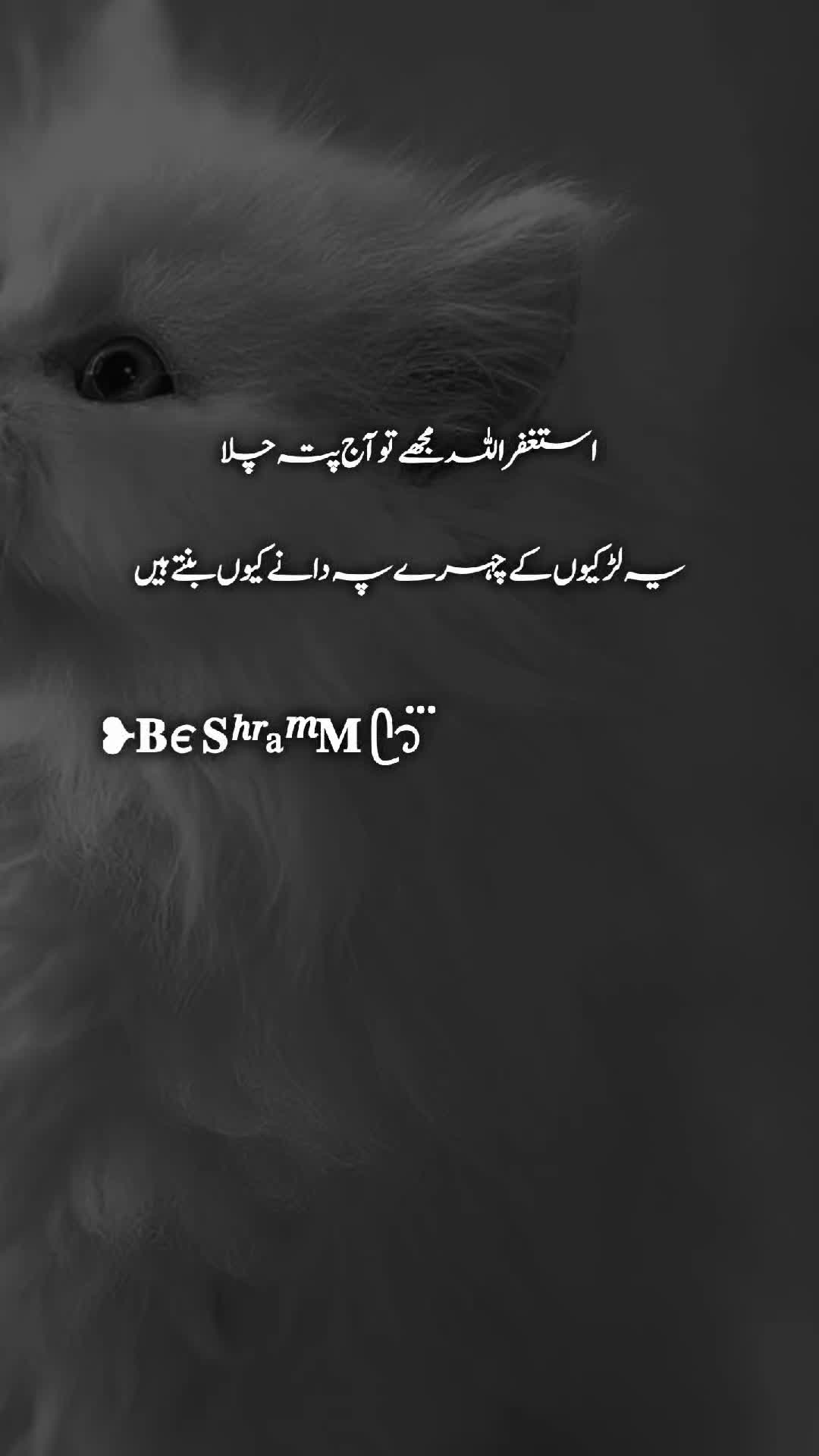 @❥𝐁є 𝐒ʰʳaᵐ𝐌 ᥫ᭡፝֟፝֟