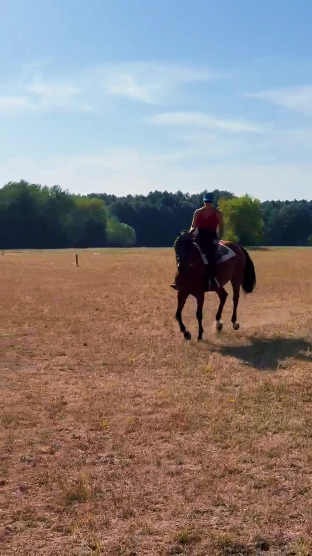 @Cestou Horsemanshipu