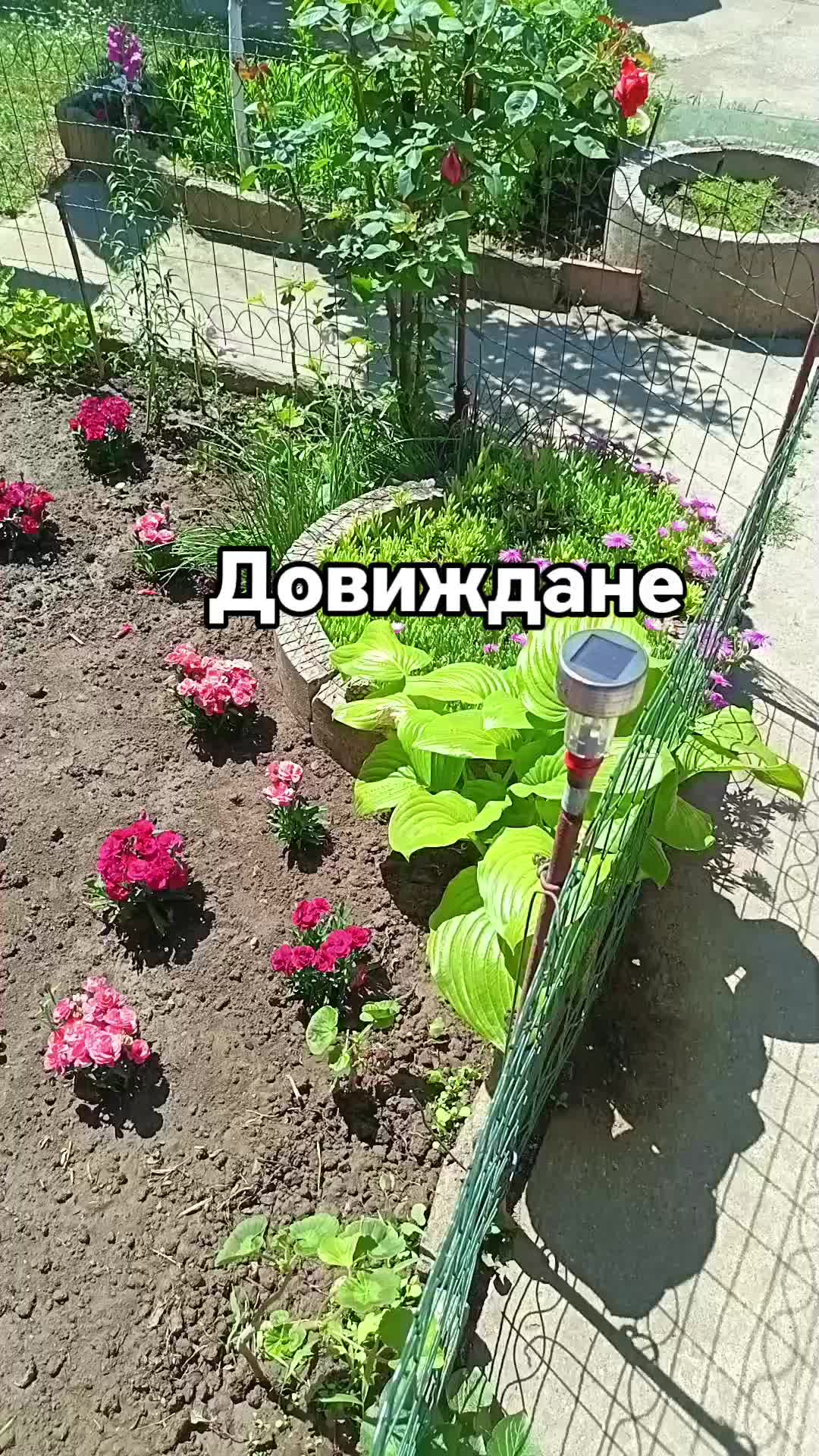 @Е💜Л💜И💜