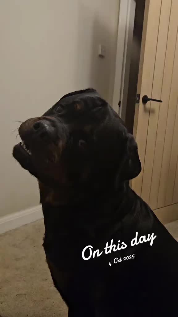 @Reggie the Rott