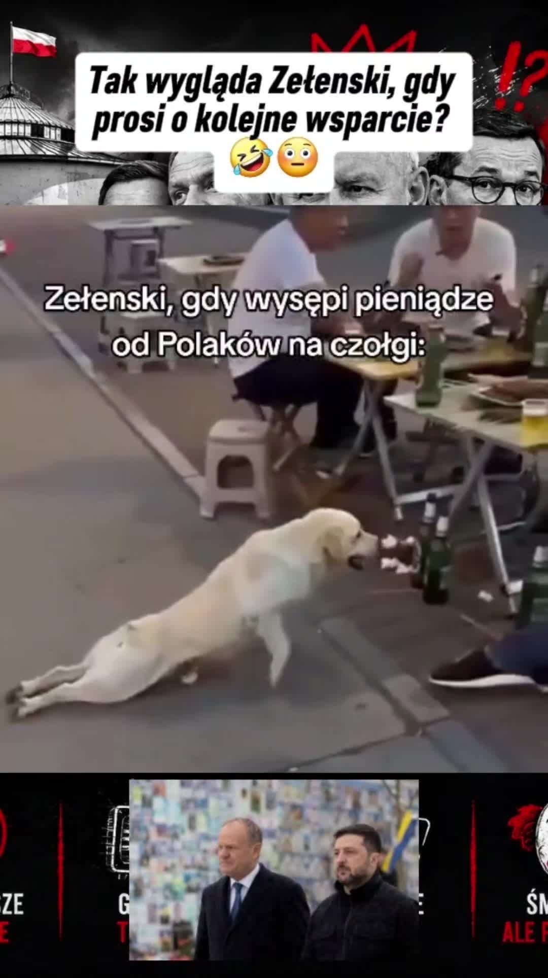 @Polityczny Bajzel