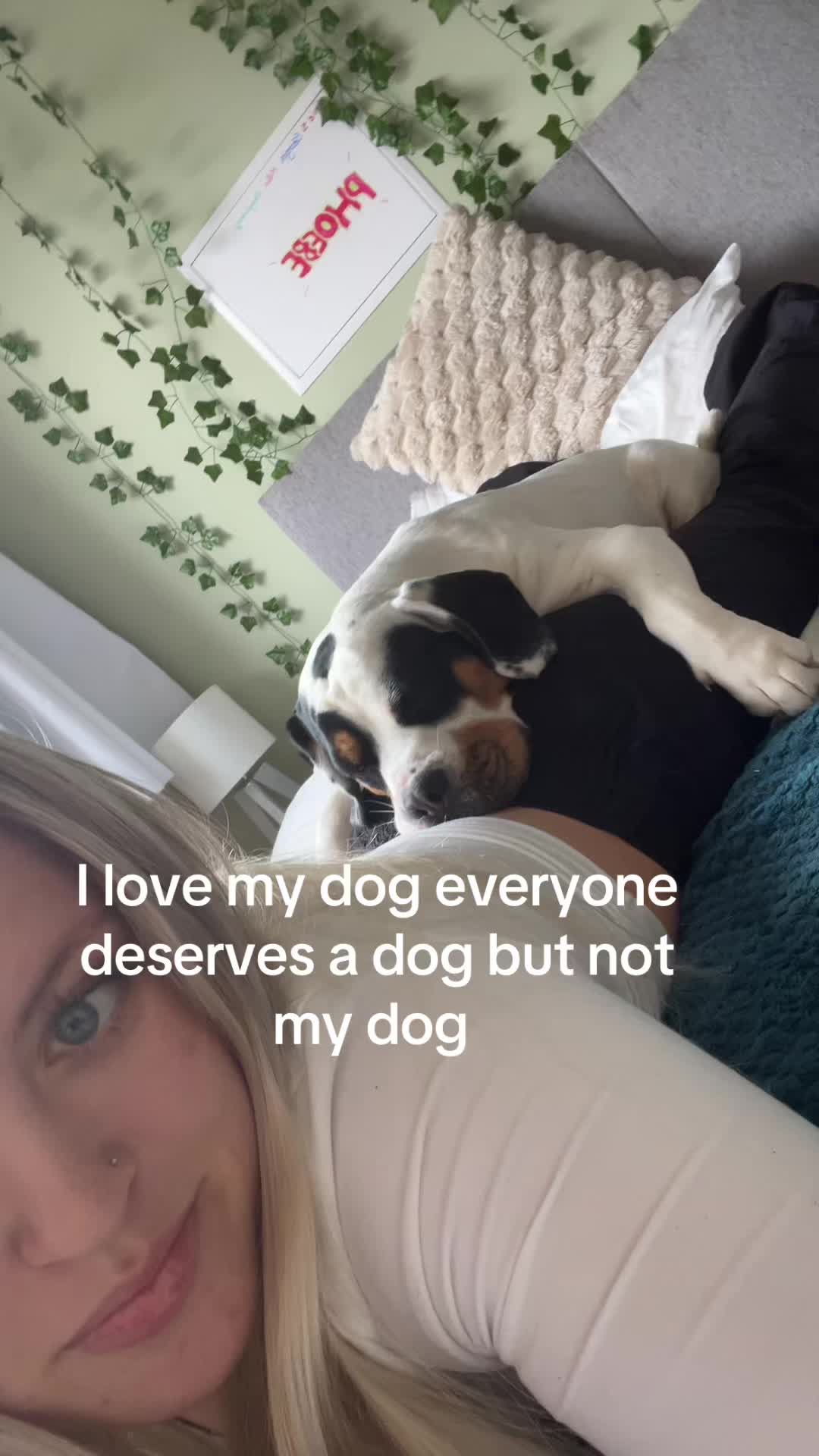 @defo.not.phoebee