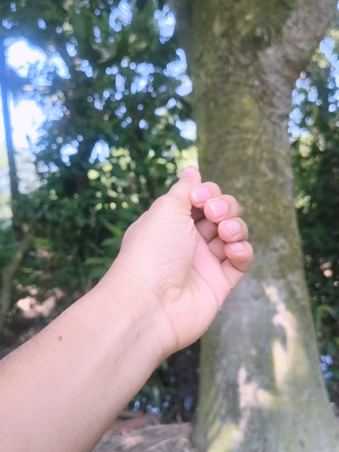 @(っ◔࿐🐸🫦দুষ্ট দাদু🫦🐸࿐(っ◔◡◔)っ