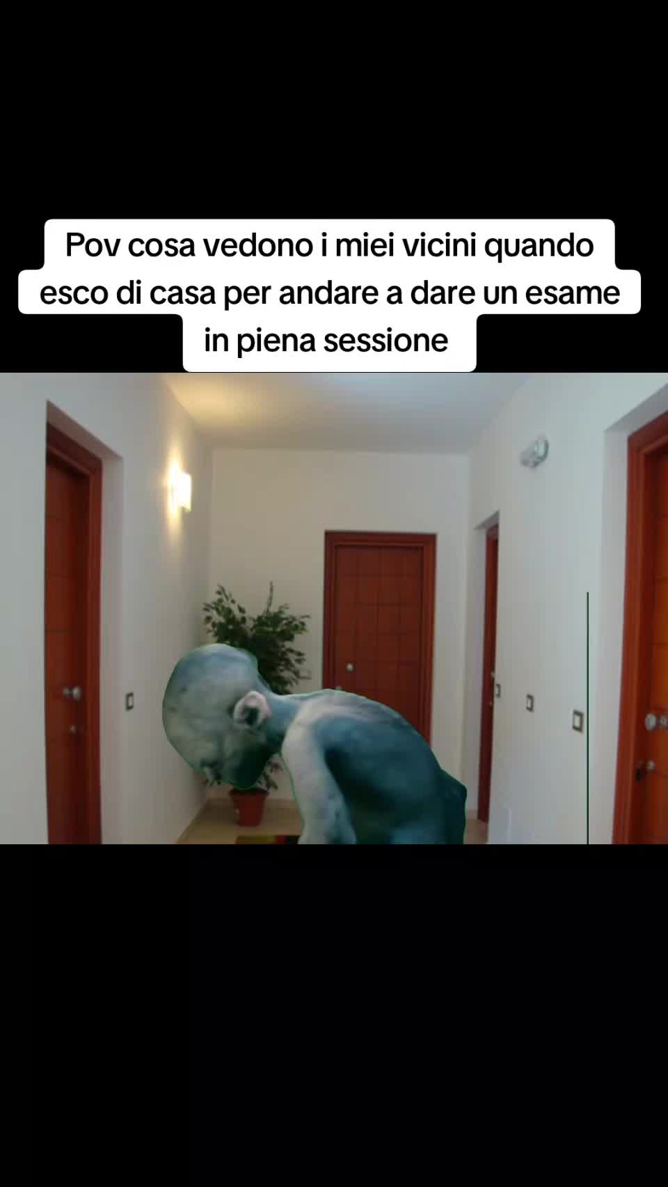 @gb_uni_meme