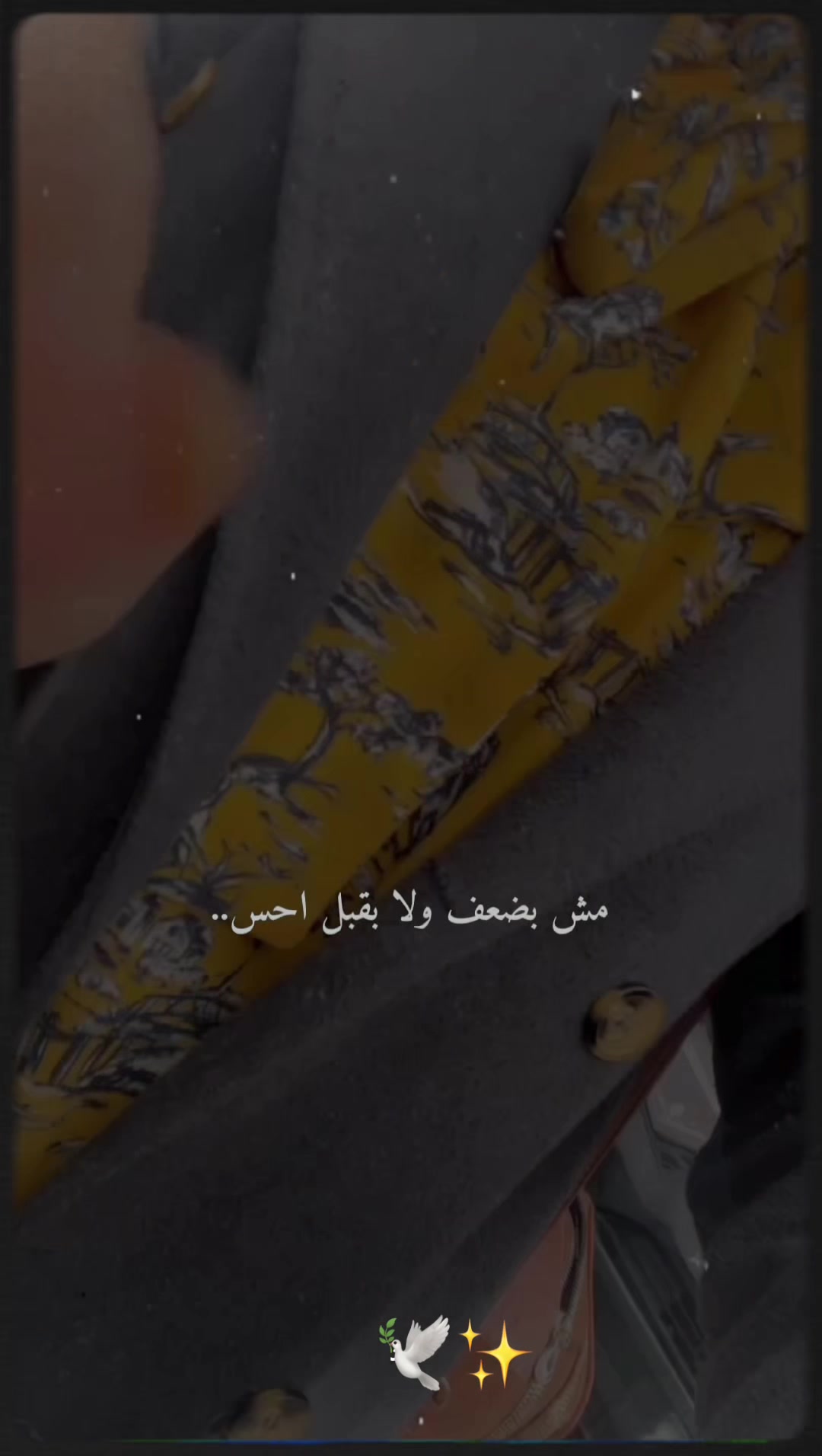 @🕊️شامية الهوى