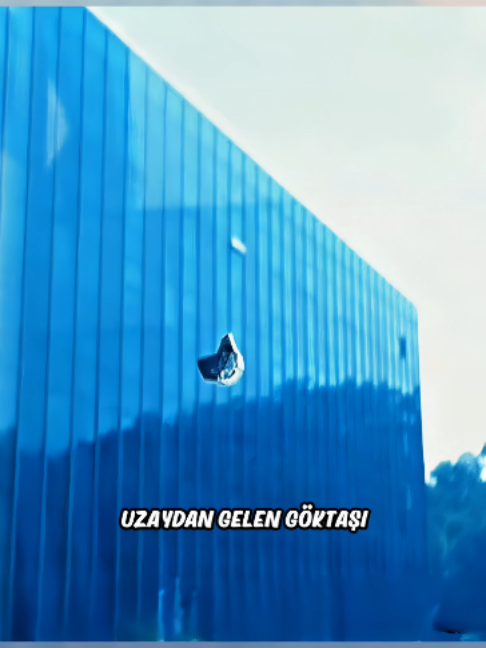 @Filmci Kadın