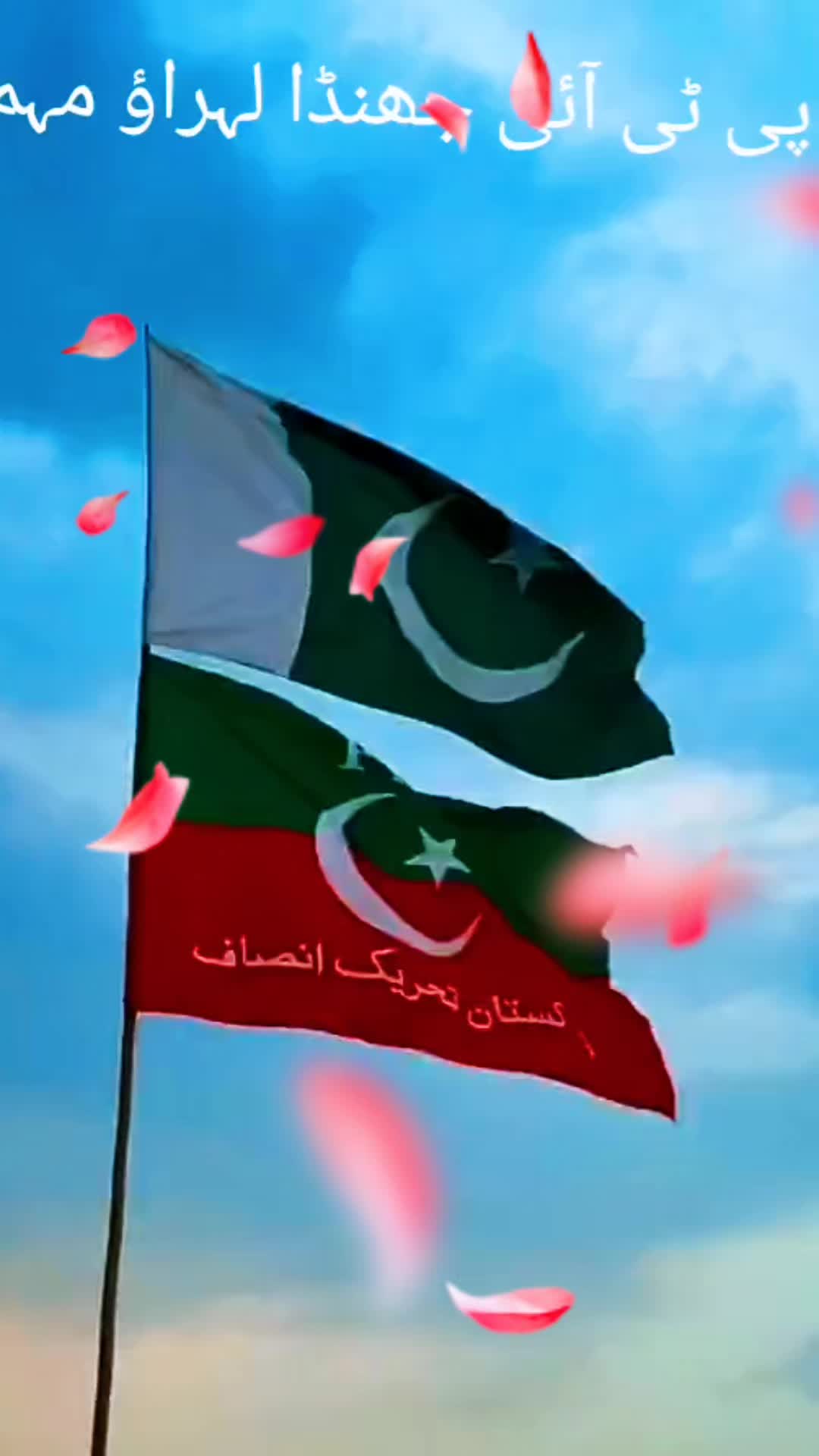 @amaan1949