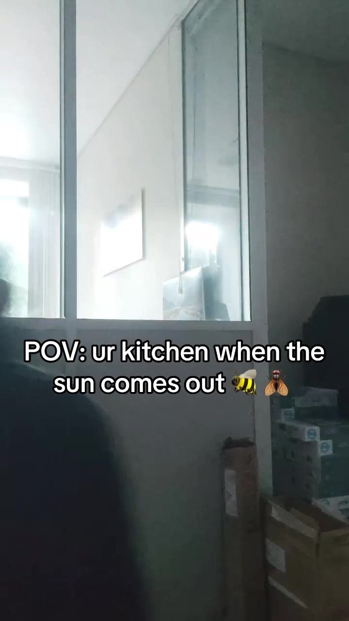 @ᏒΛJΛ ⅁™