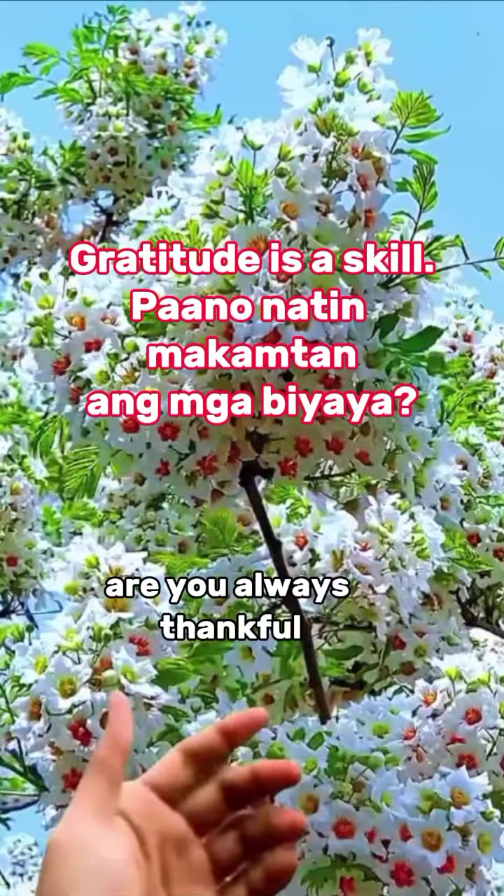 @Andy