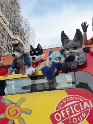 @radywolf