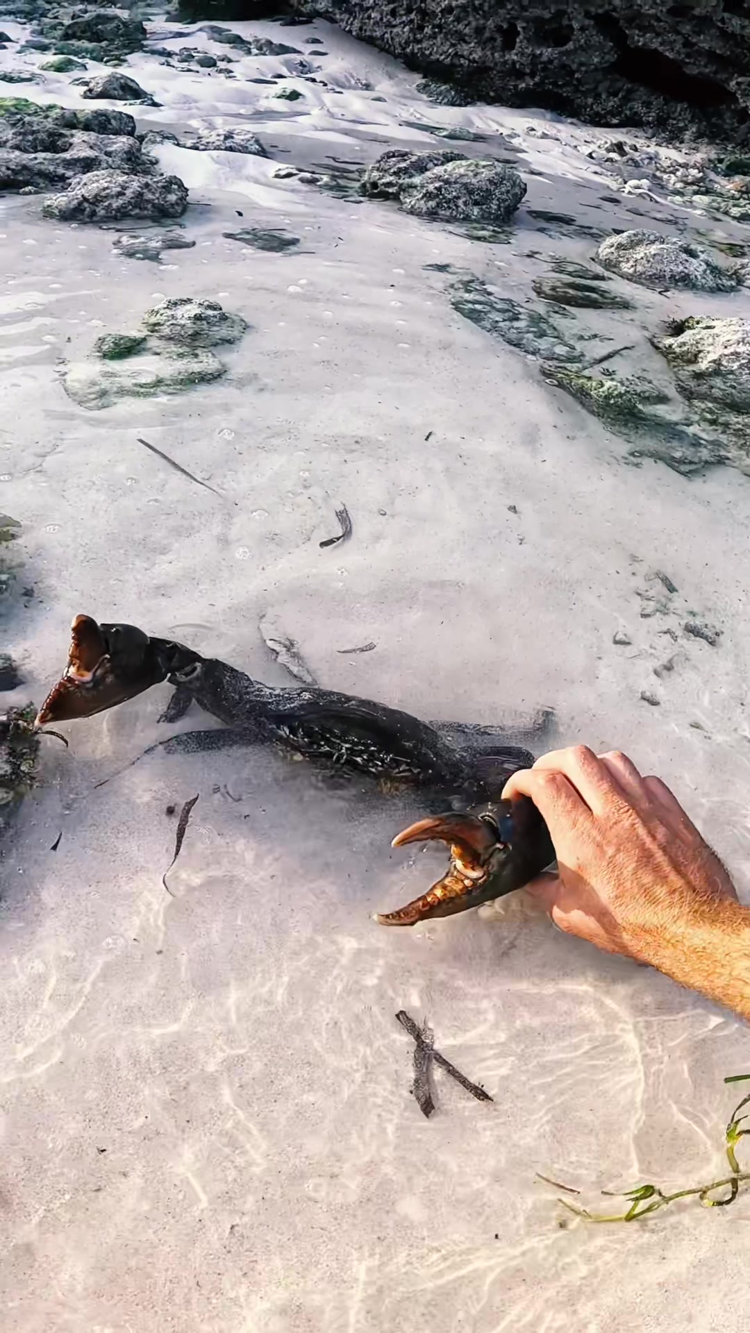 @Wade Papenfus | Offshore Tales