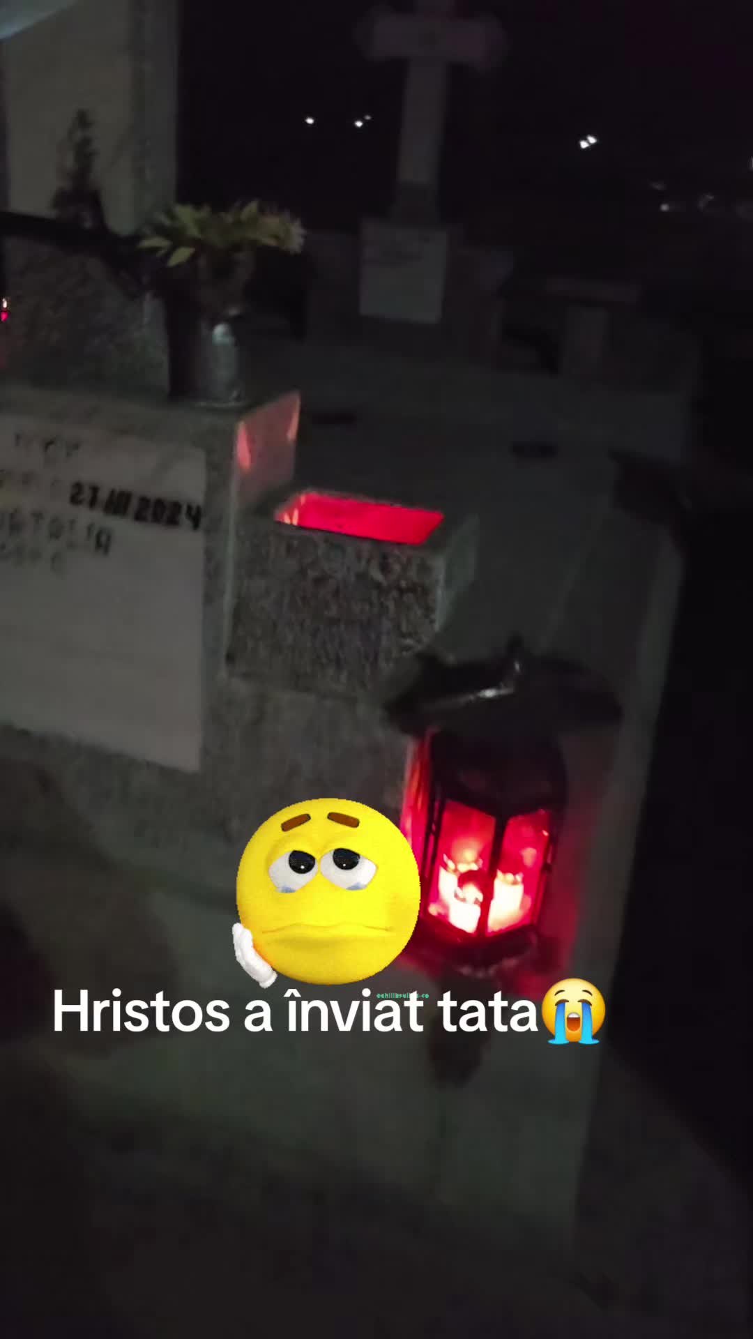 @Lenuta Lupu