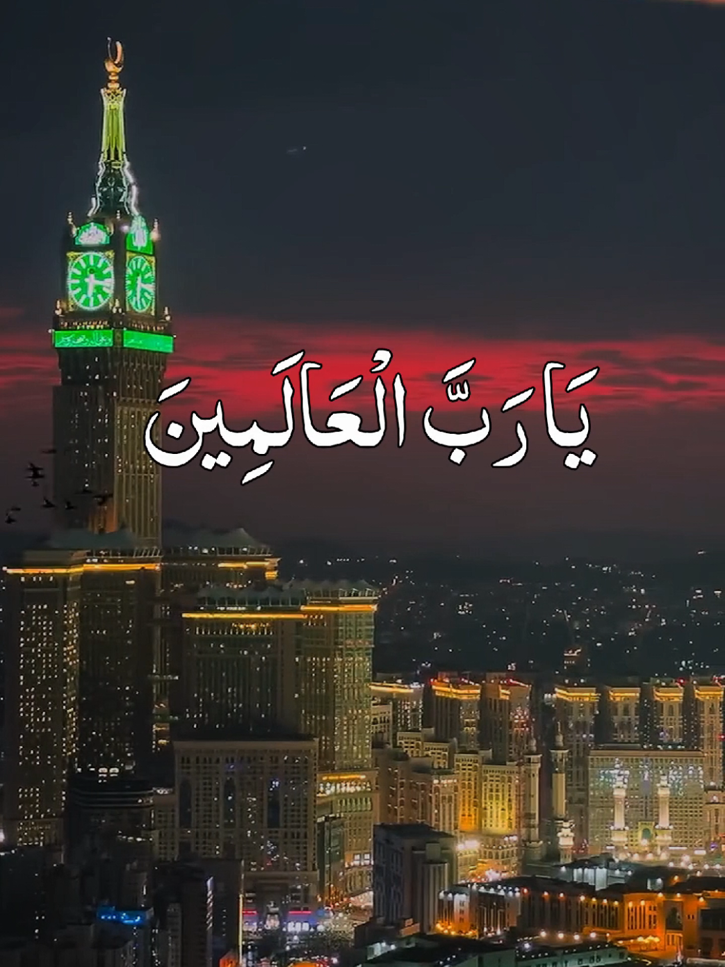 @HOLY QURAN