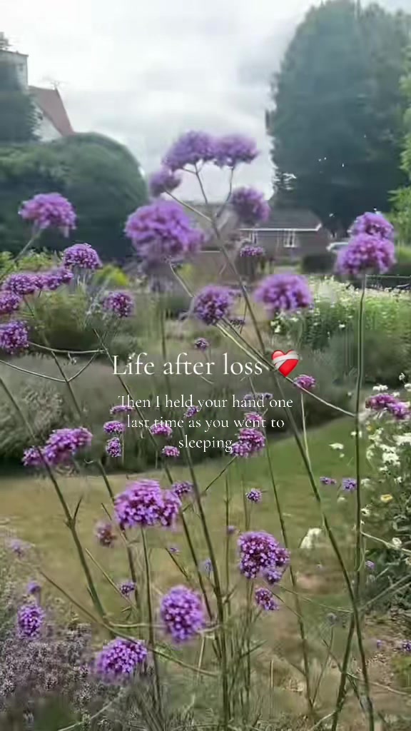 @Janeintheworld