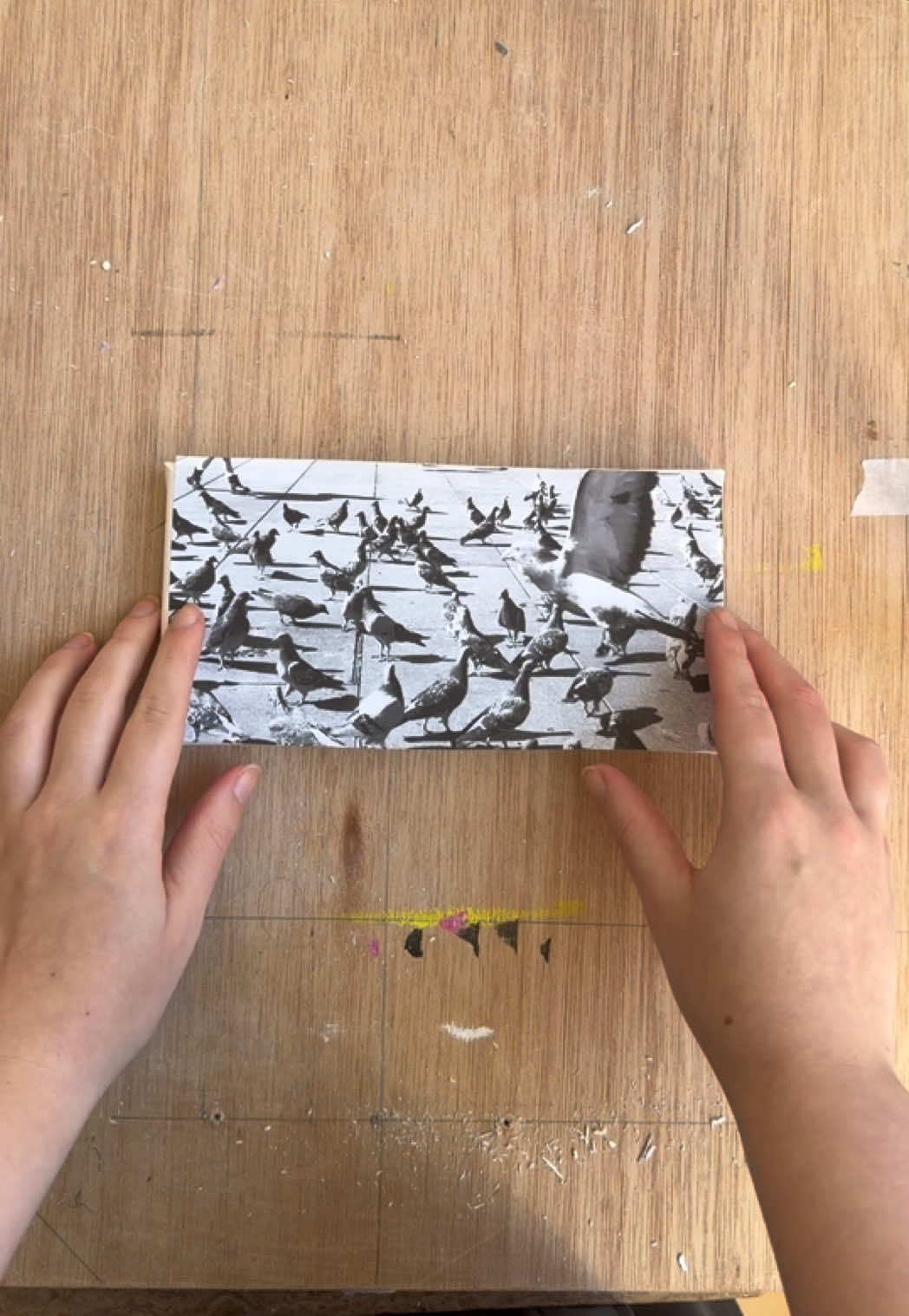 @Lucy Evans | Artist