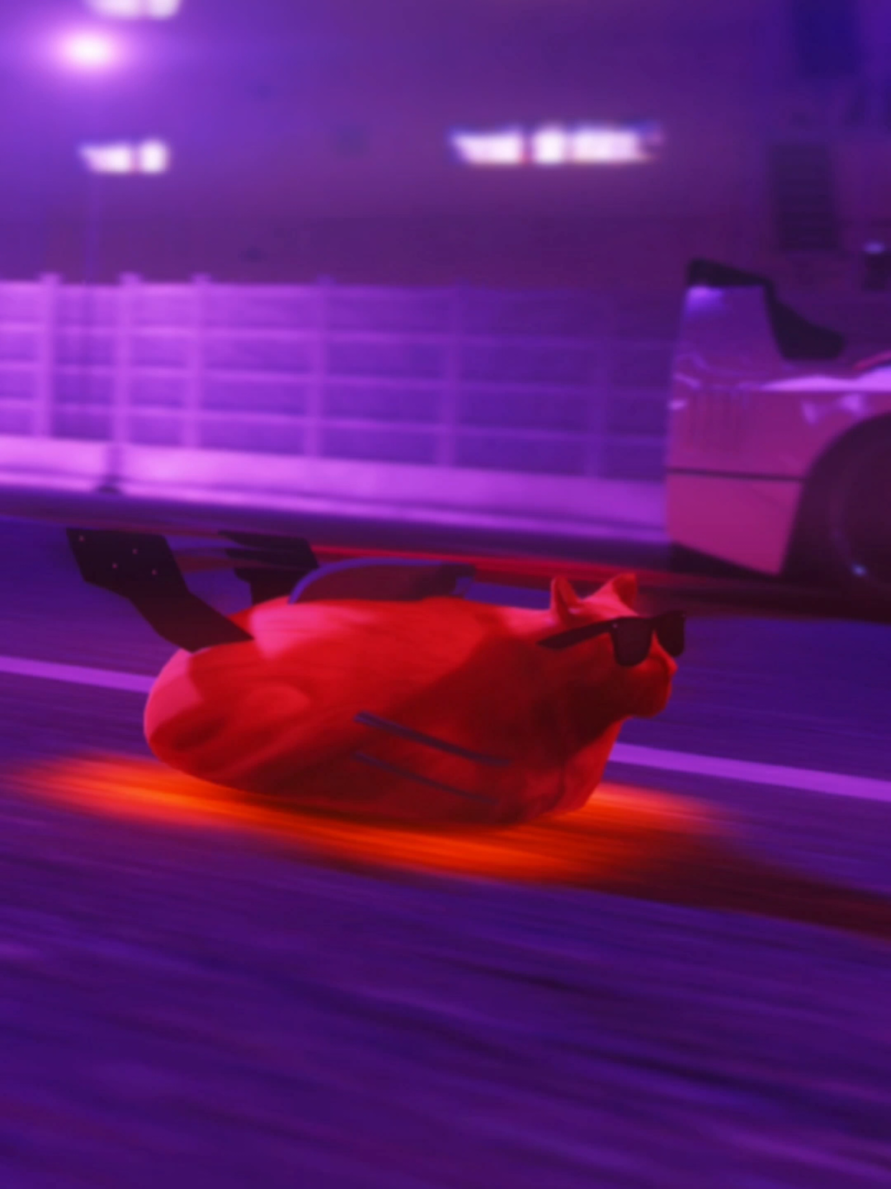 @Pablo the Race Cat