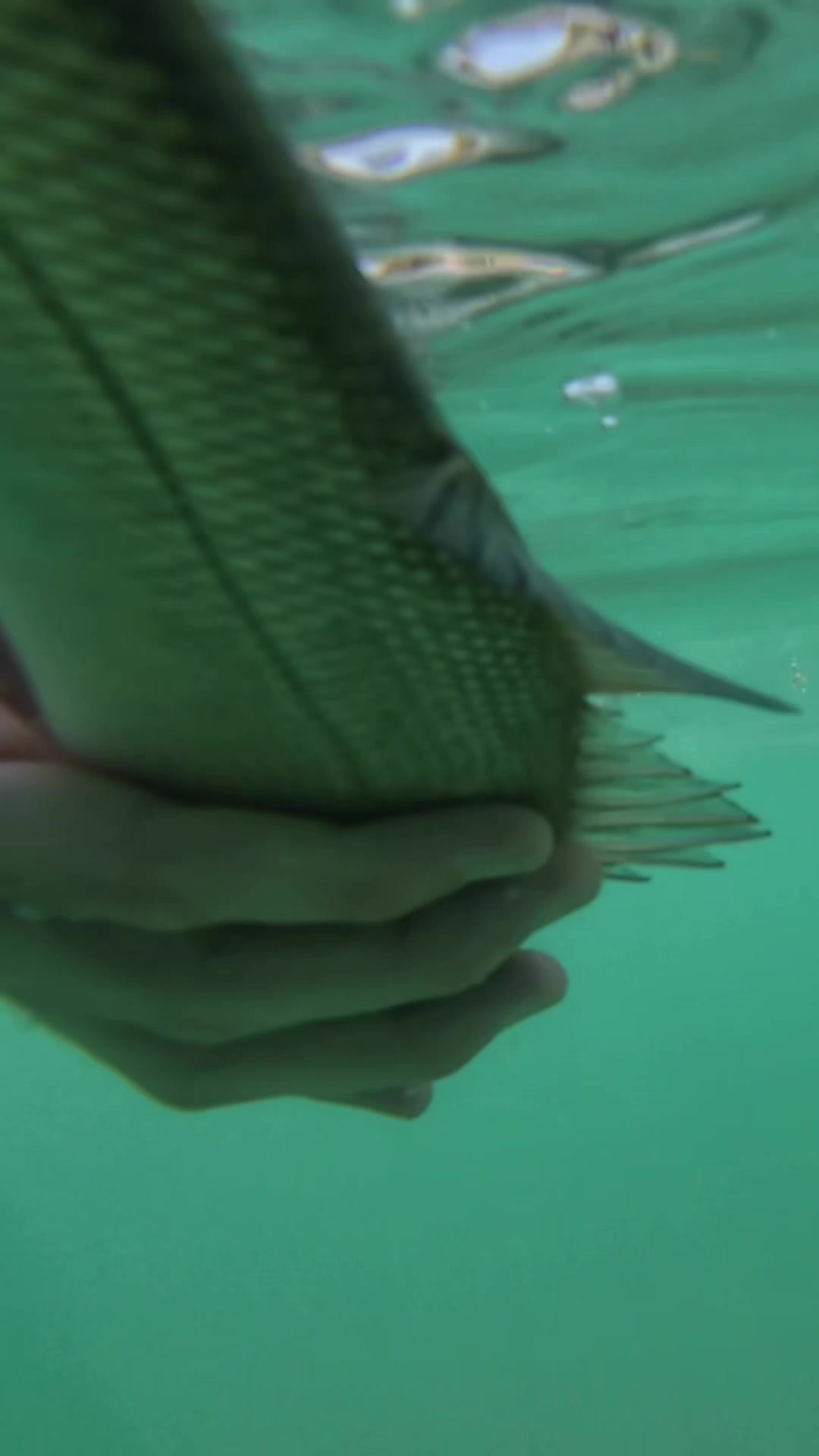 @GRXfishing