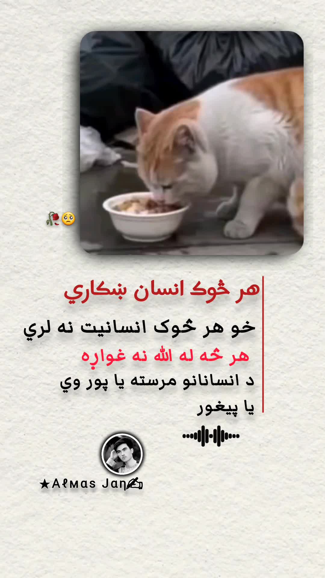 @𓆩𝐀𝐥𝐦𝐚𝐬 𝐉𝐚𝐧𓆪