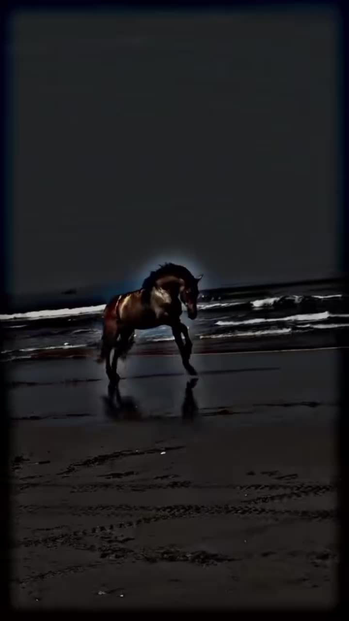 @⫸𝙈𝙞𝙍𝙯𝘼✫𝙎𝙖𝙍𝙆𝙖𝙍✫⫷