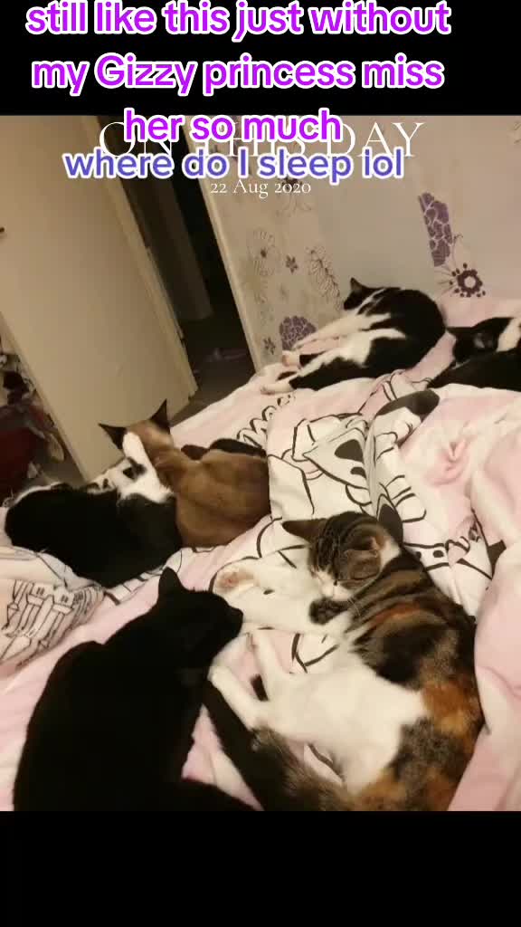 @KellyLovesBooks