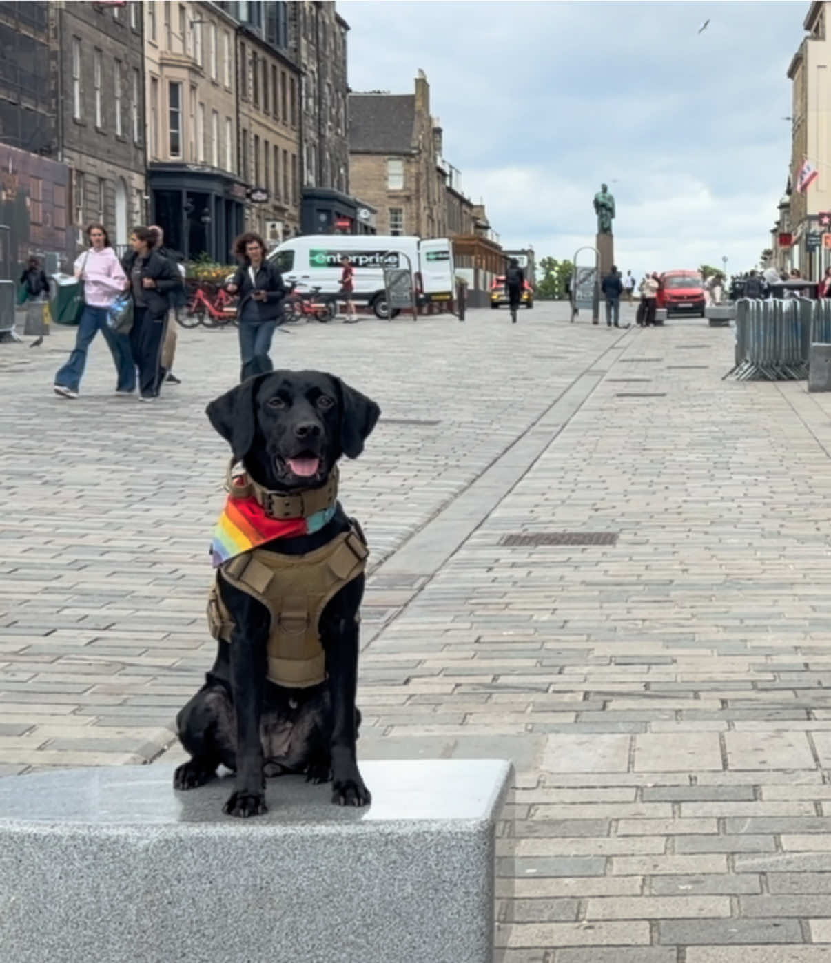 @themworkingdogs🏴󠁧󠁢󠁳󠁣󠁴󠁿