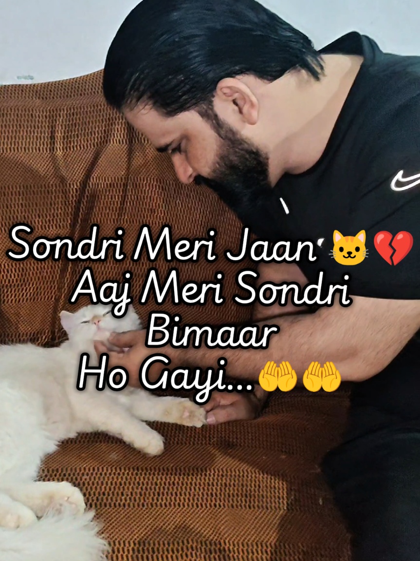 @Mian