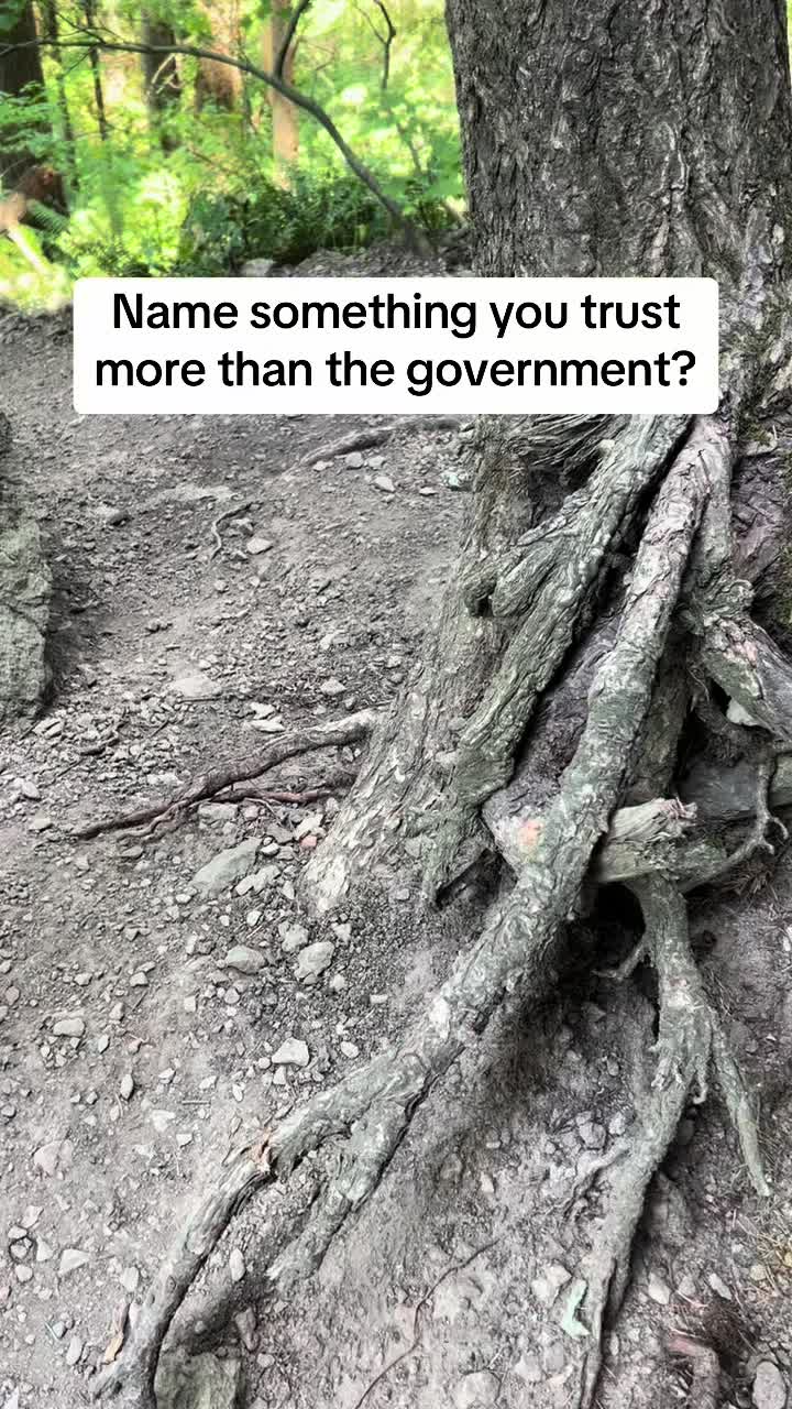 @Leftleaningqueen