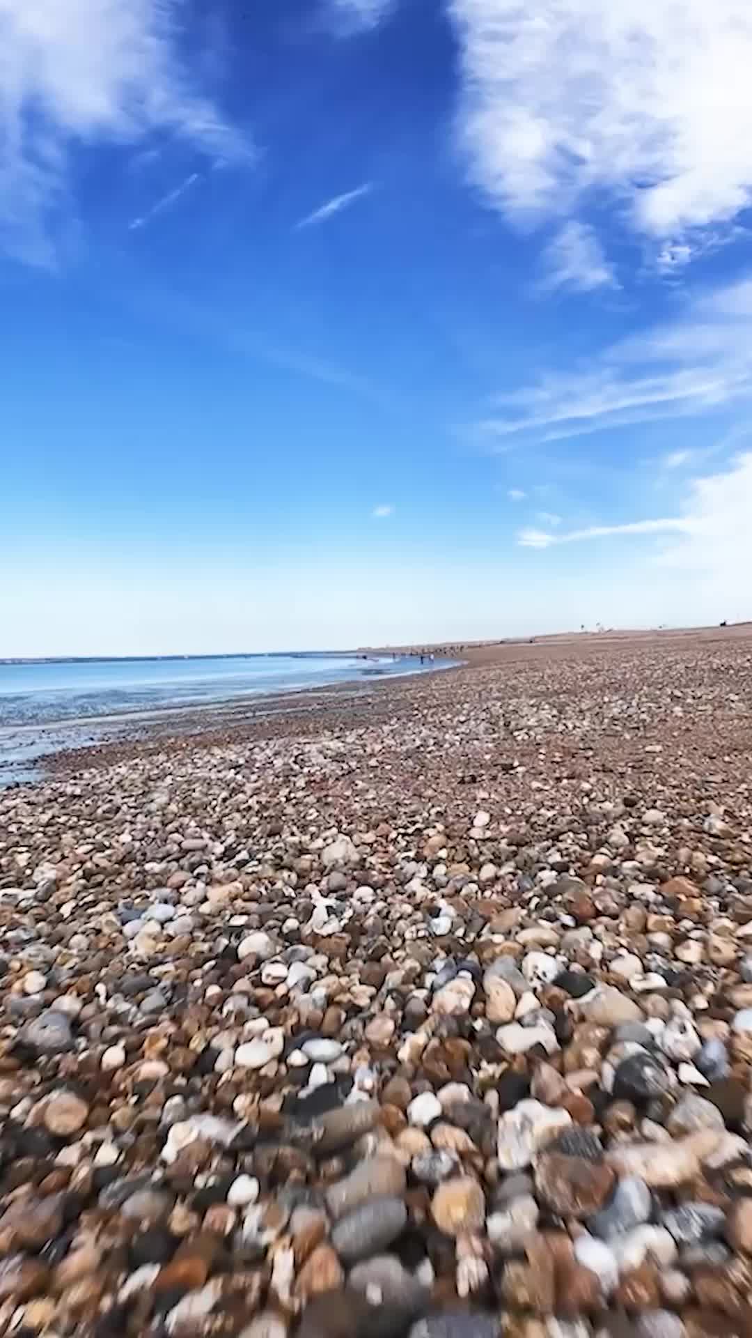 @BFBS
