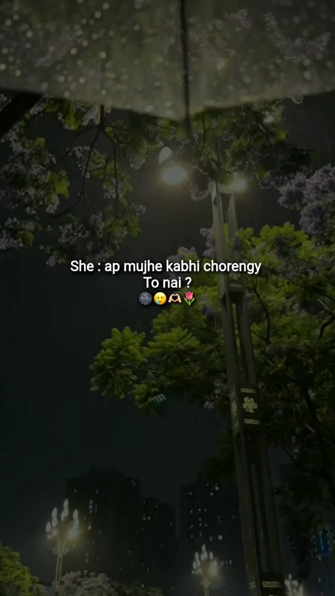 @๐ทโคออออโ
๐๐ฉ๐๐ซ๐๐ฅ๐
