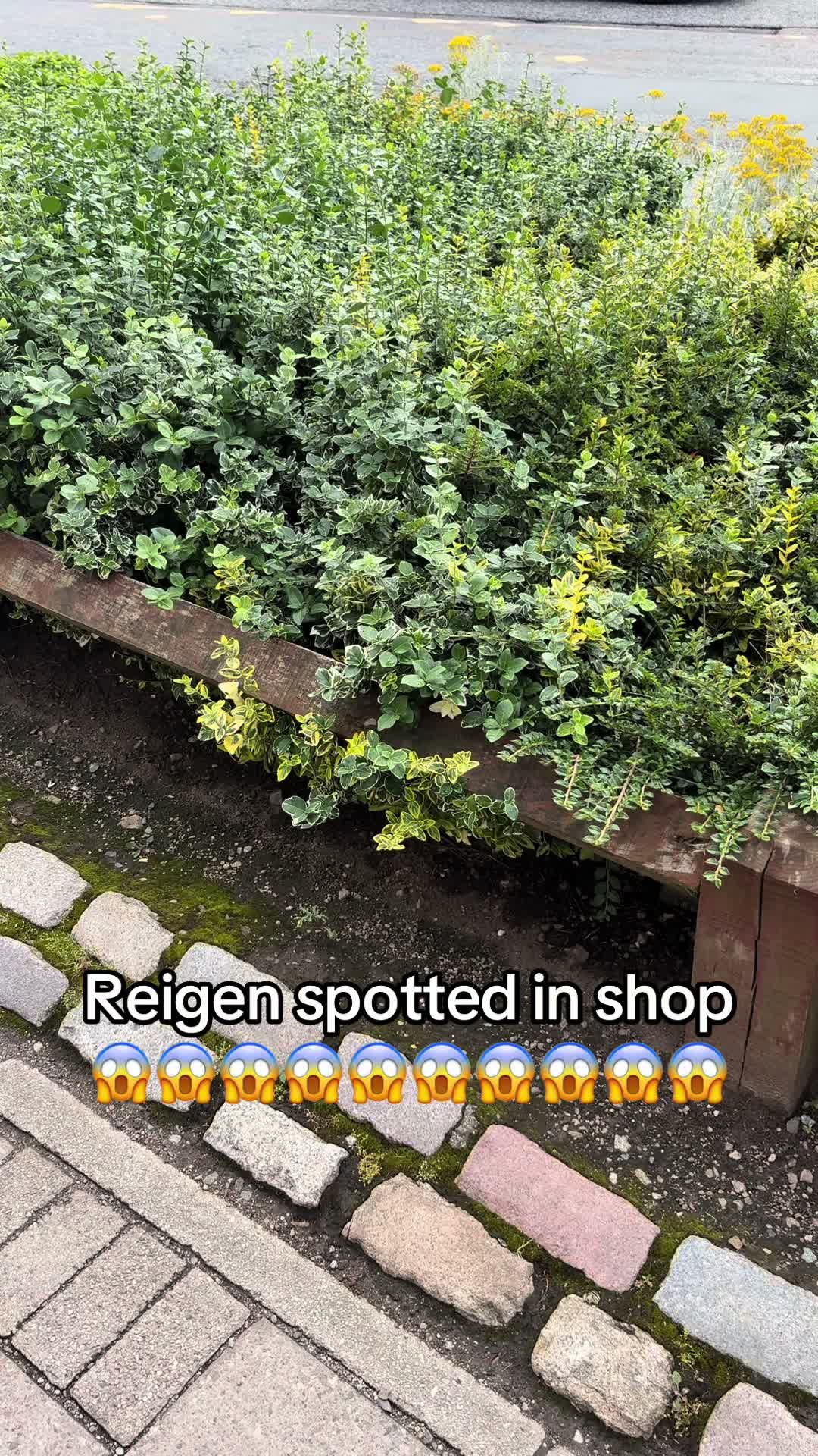 @Weaselton