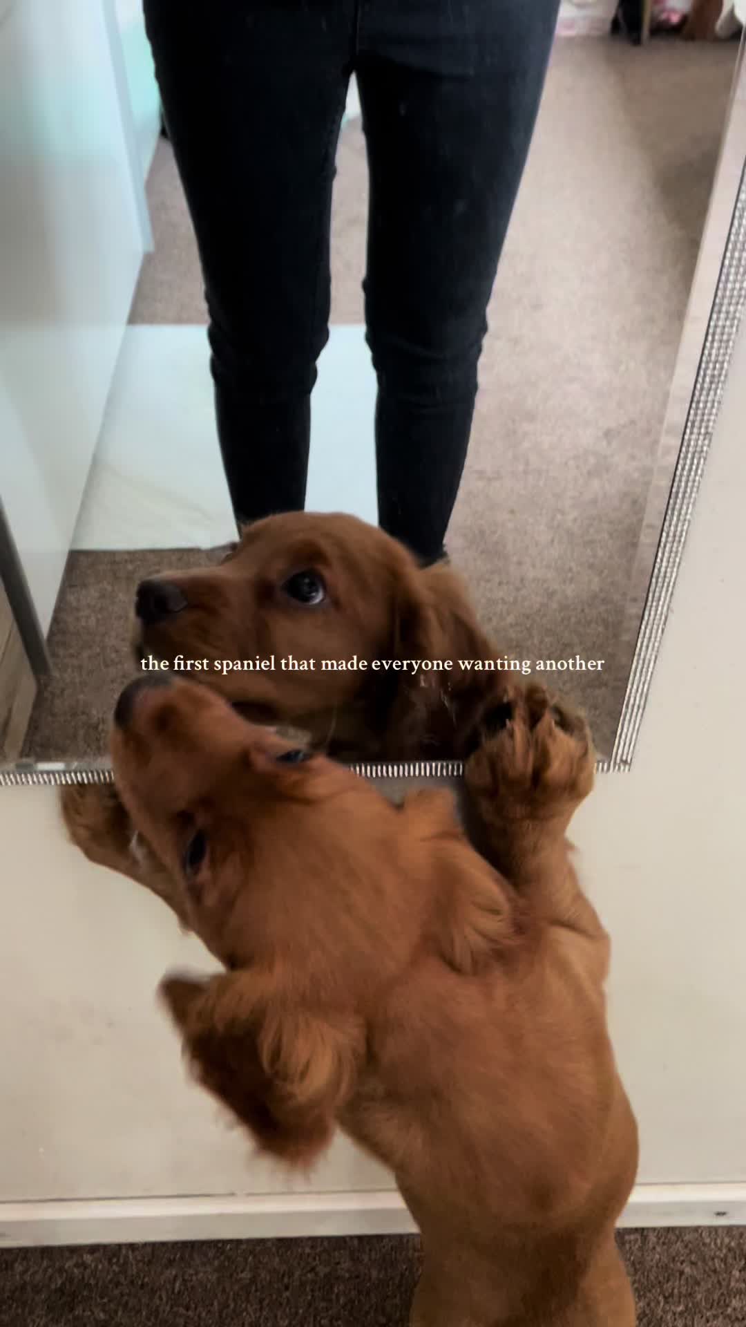 @aspanielslife