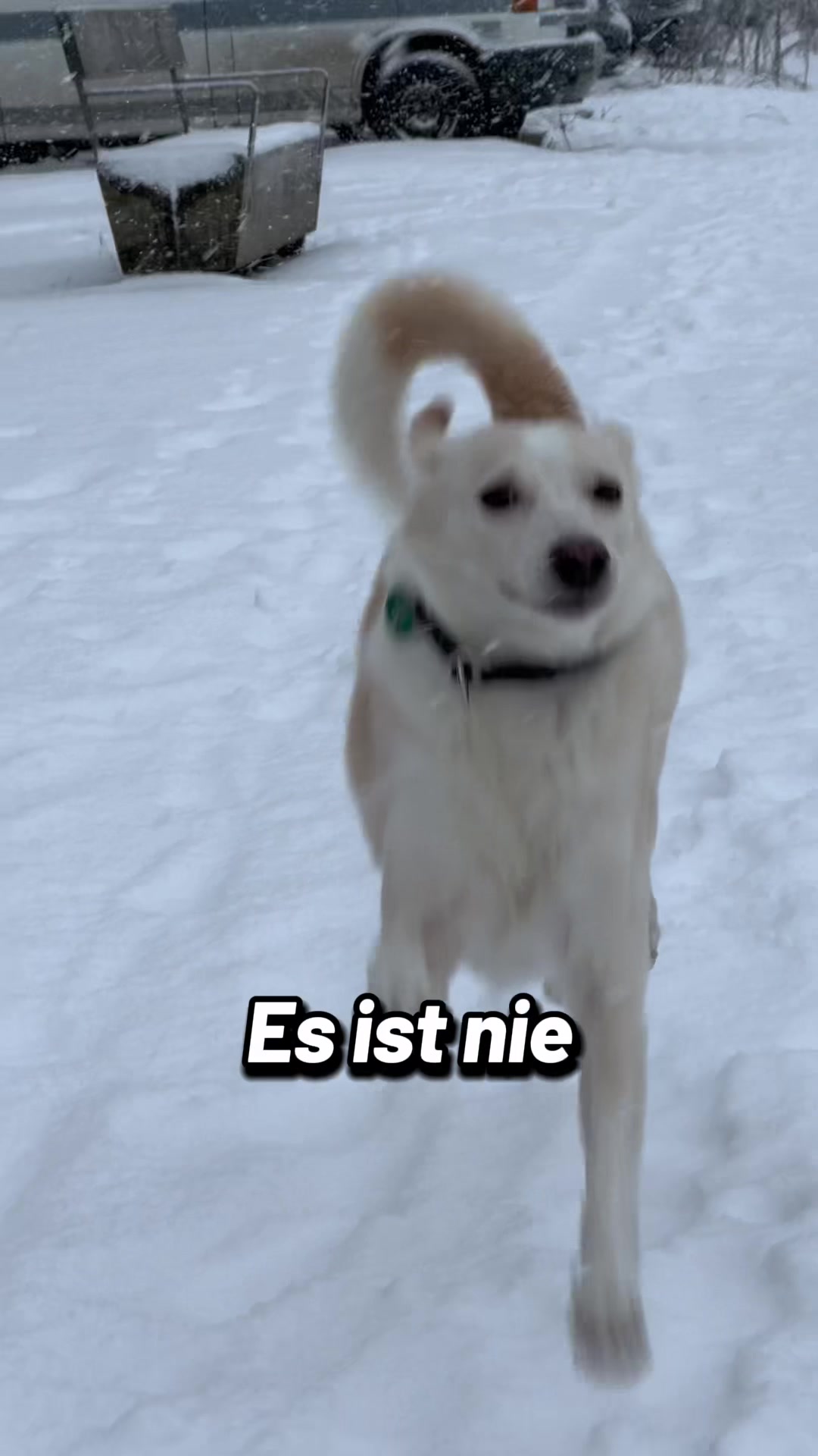 @Joschi