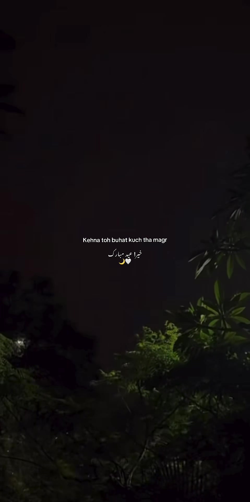 @🚩