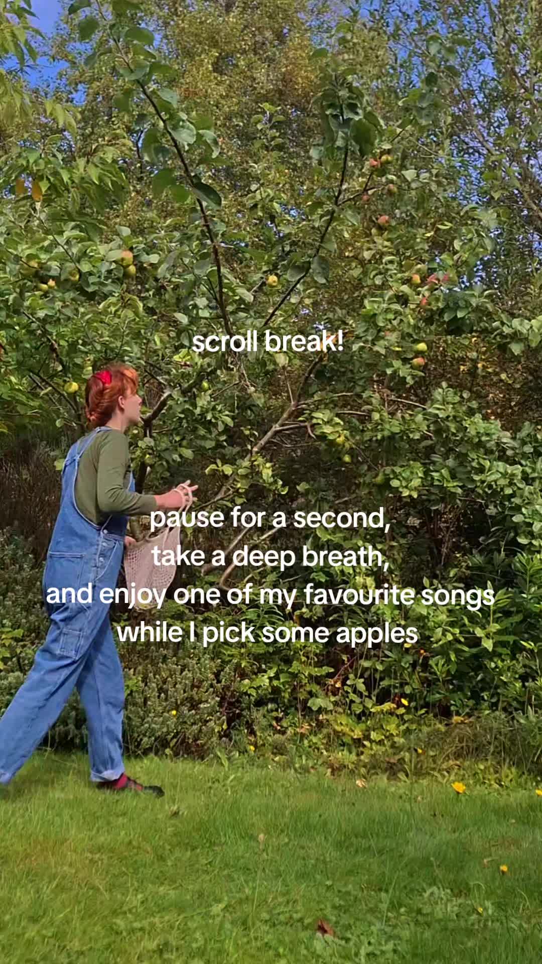 @𝐋𝐚𝐮𝐫𝐢𝐞