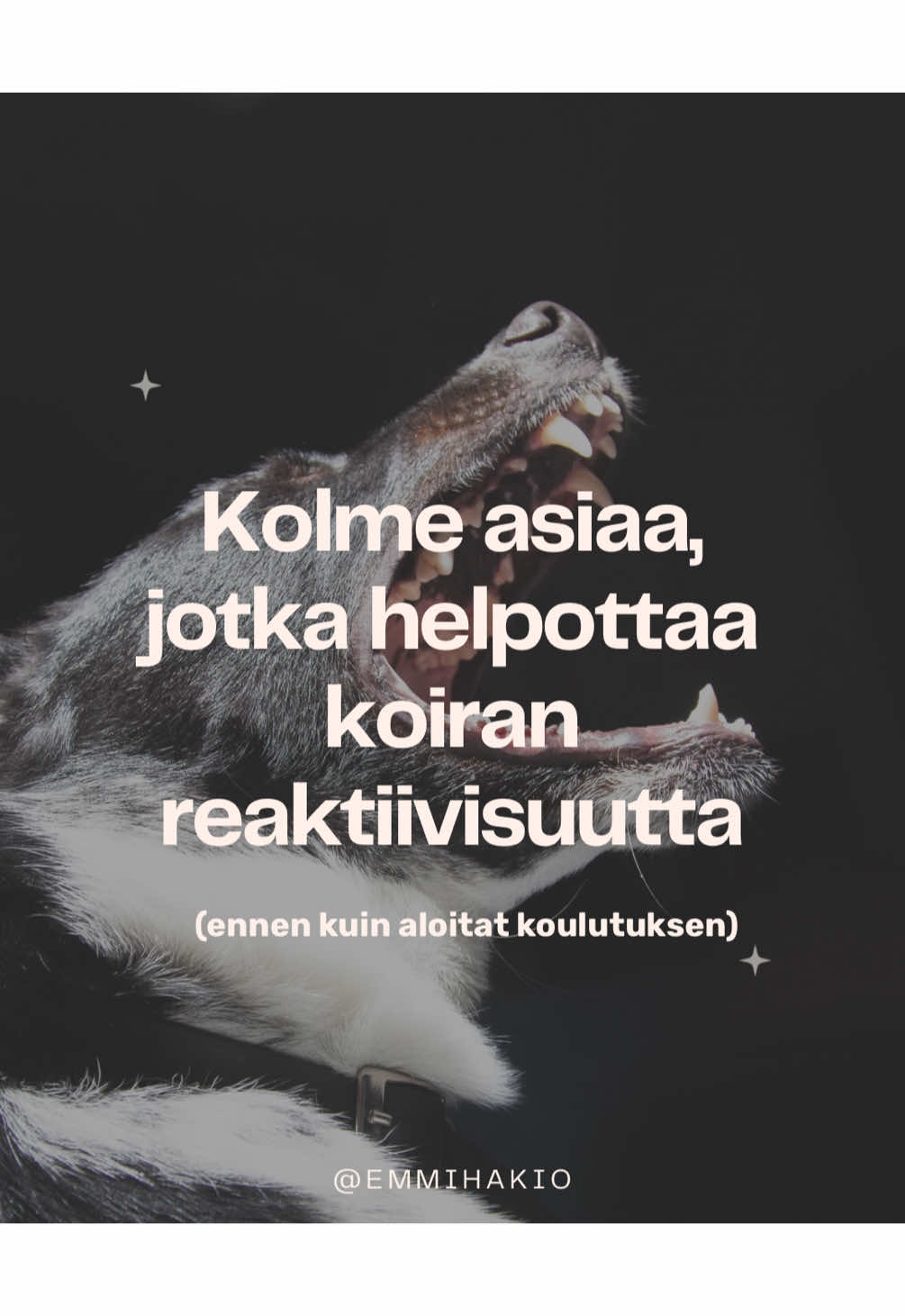 @Emmi Hakio