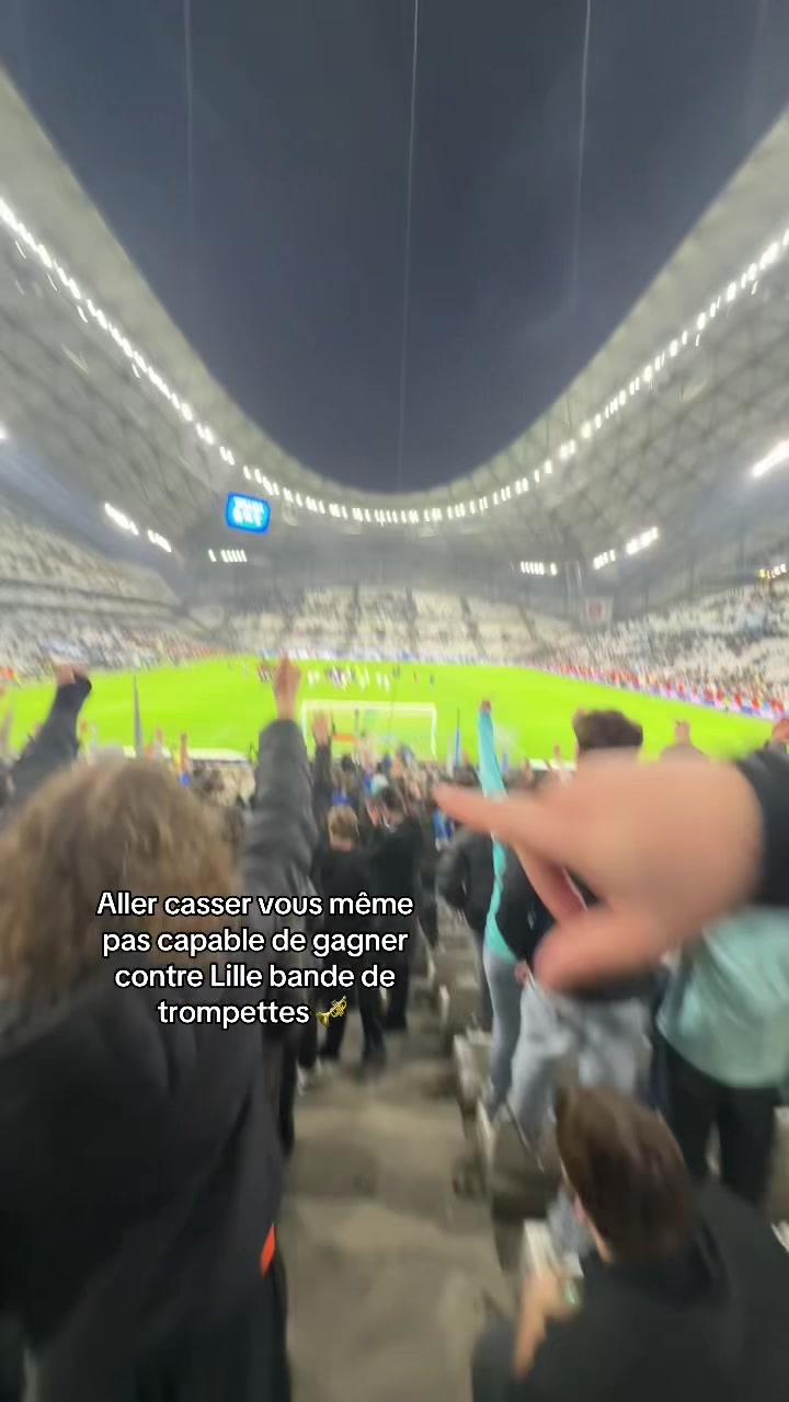 @Tm13k🐬🐬