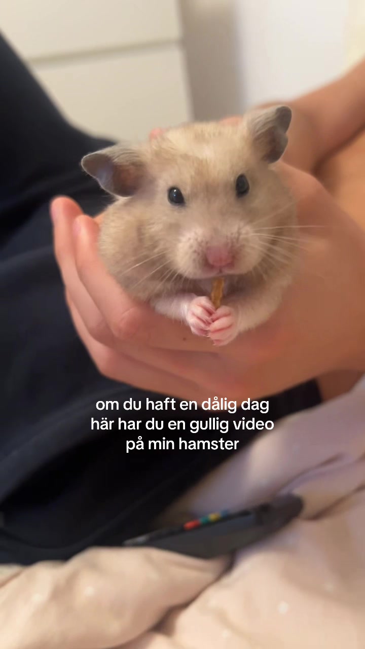 @Wilma🧁