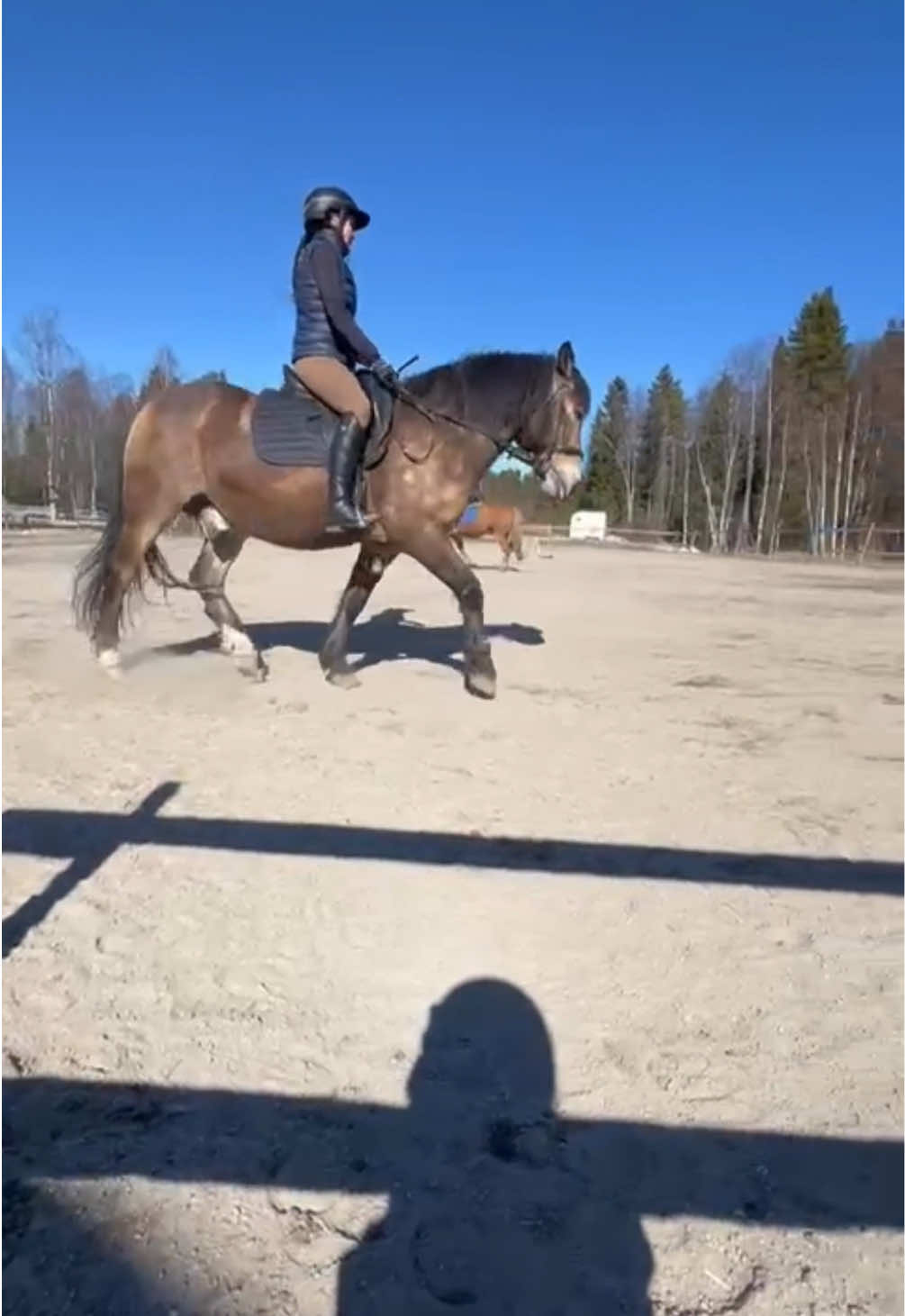 @Sanni Okkolin
