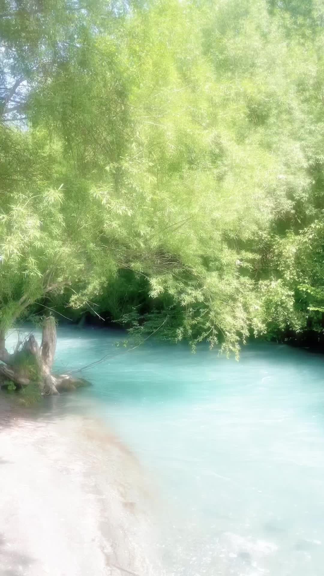 @𝒩𝑜𝓋𝒶🧁🐒