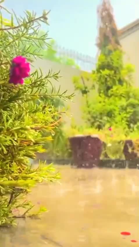 @غمِ زندگی تیرا شکریہ