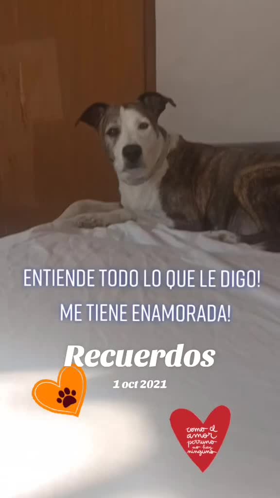 @Merche Chaparro